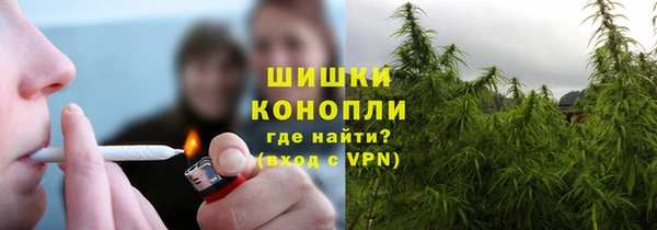 PSILOCYBIN Каменск-Шахтинский