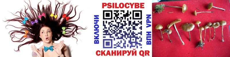 Галлюциногенные грибы ЛСД  Купить где  Джанкой 